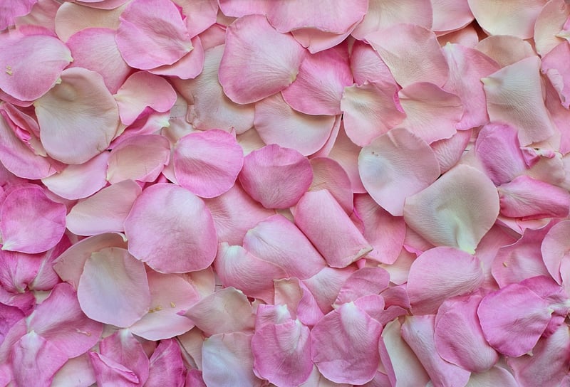 Botanical Wedding Decor